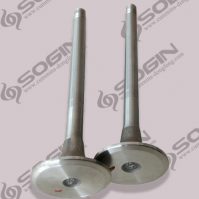 Cummins engine parts NT855 Exhaust valve 145701 3040830