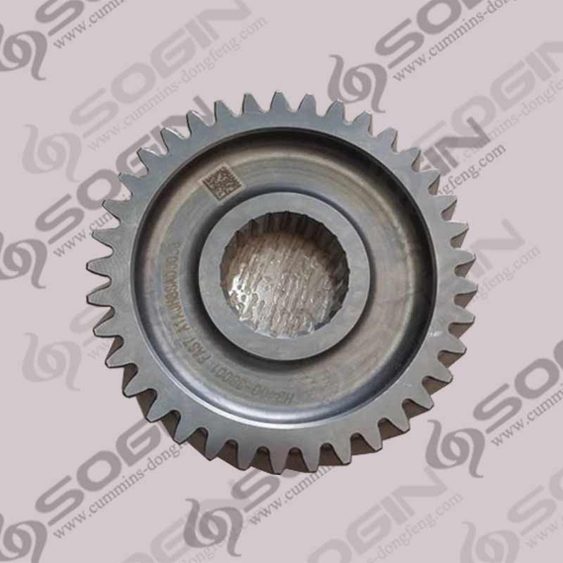 Dayun GEARBOX GEAR